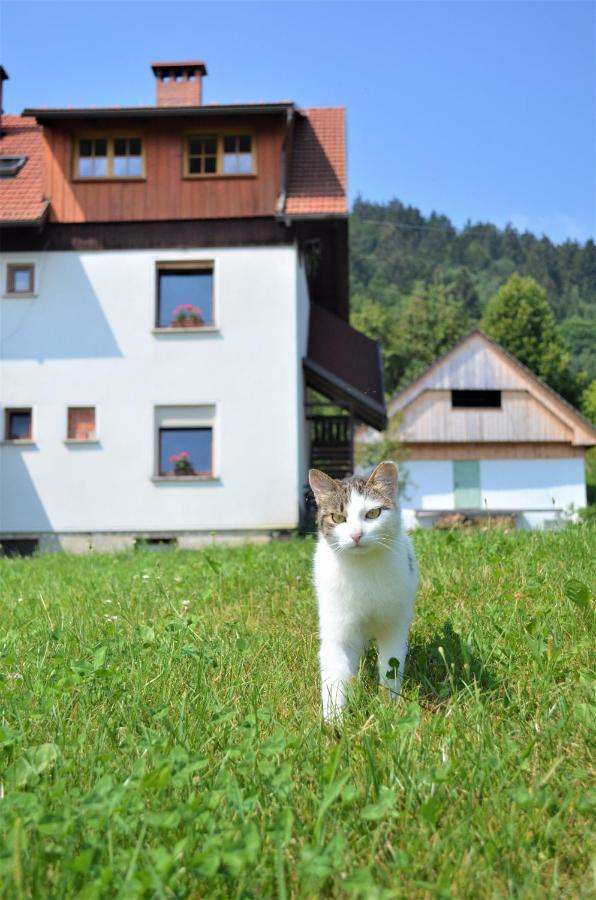 Healing Farm Lägenhet Gorenja Vas  Exteriör bild